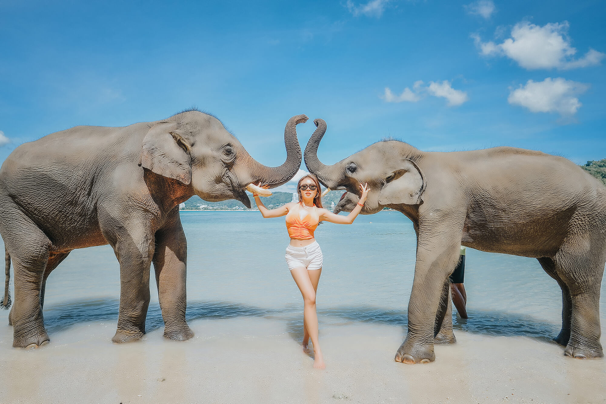 Phuket Elephant Swims Beach Photography