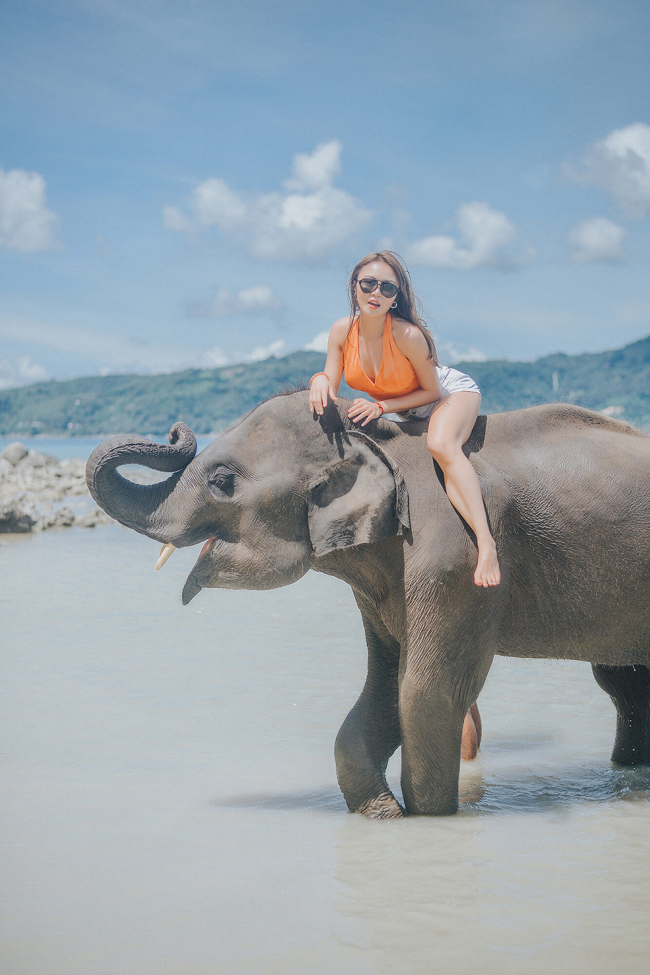 Phuket Elephant Swims Beach Photography