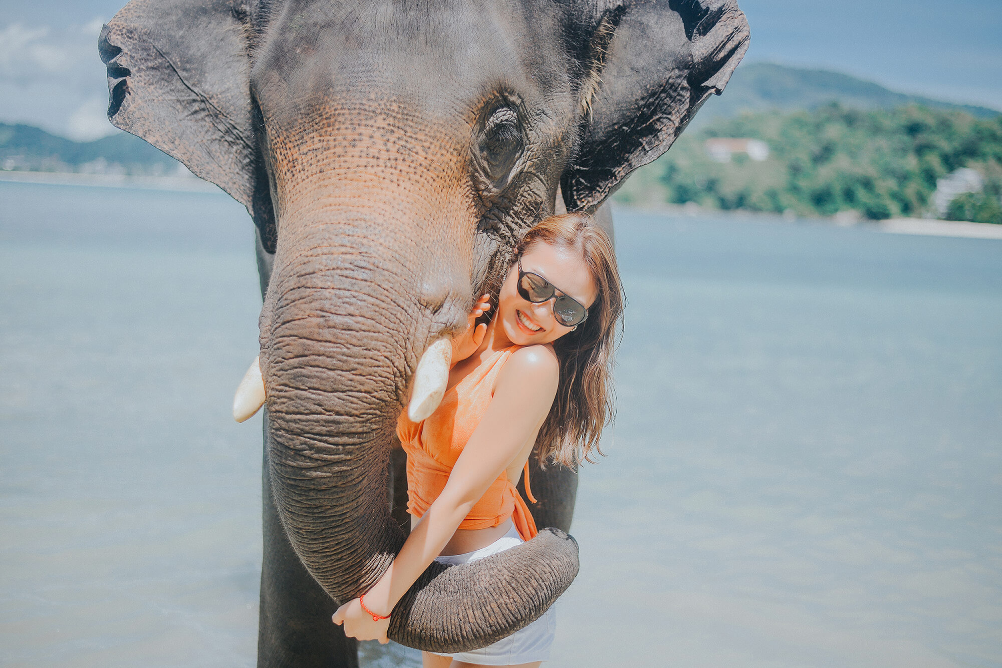 Phuket Elephant Swims Beach Photography