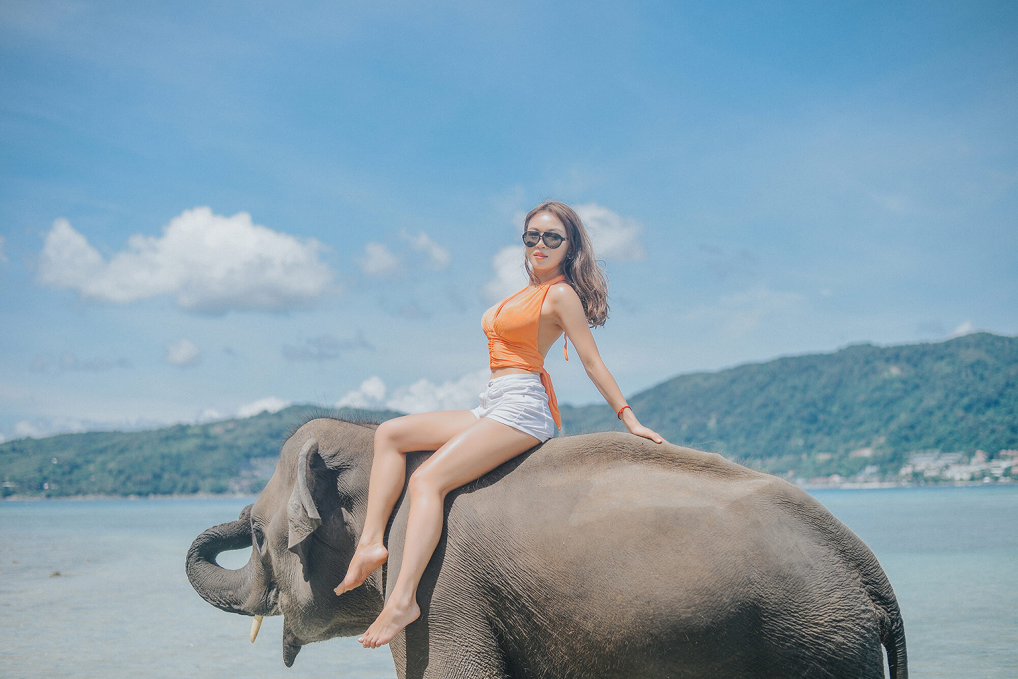 Phuket Elephant Swims Beach Photography